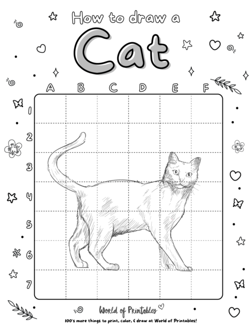 How To Draw a Cat 4