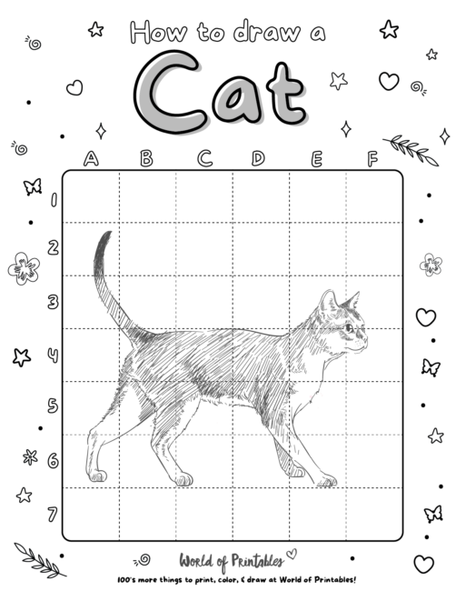 How To Draw a Cat 5