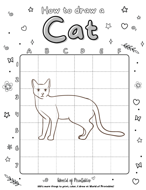 How To Draw a Cat