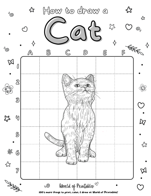 How To Draw a Cat 6