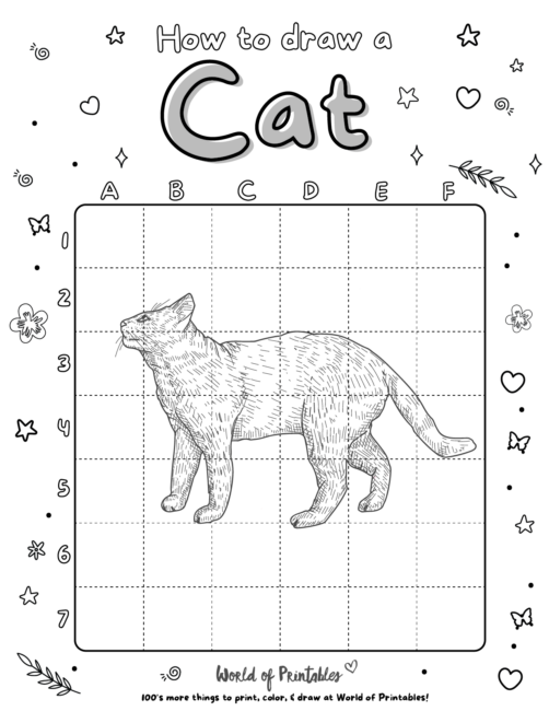 How To Draw a Cat 7