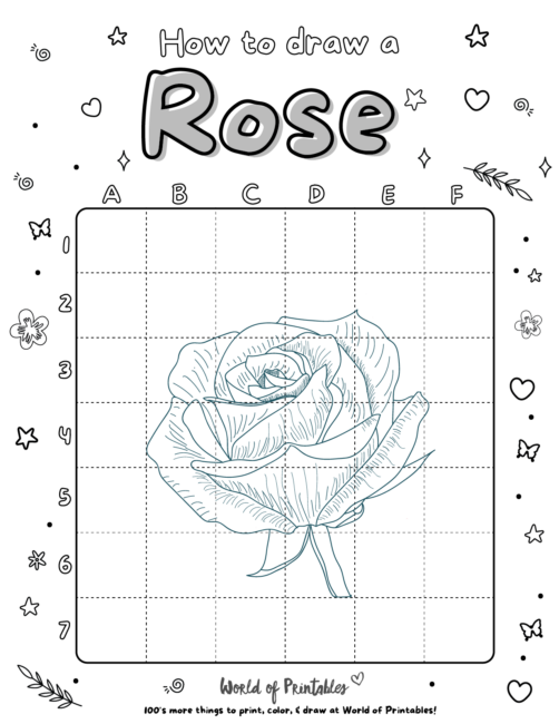 How To Draw a Rose 2