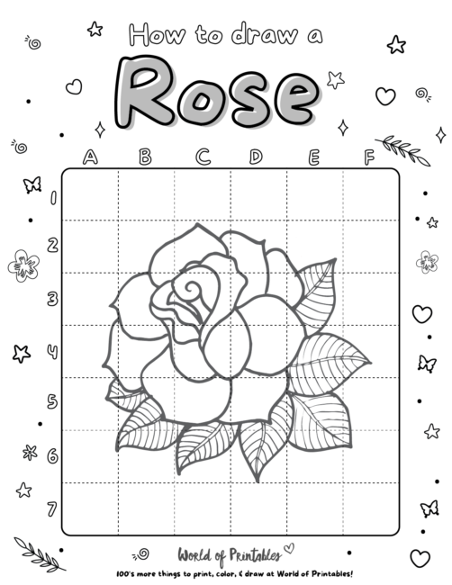 How To Draw a Rose 4