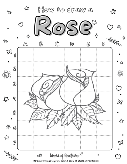 How To Draw a Rose 5