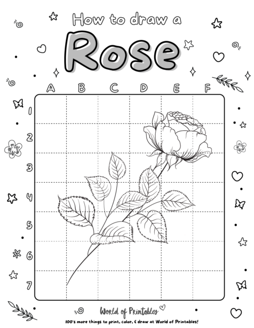 How To Draw a Rose