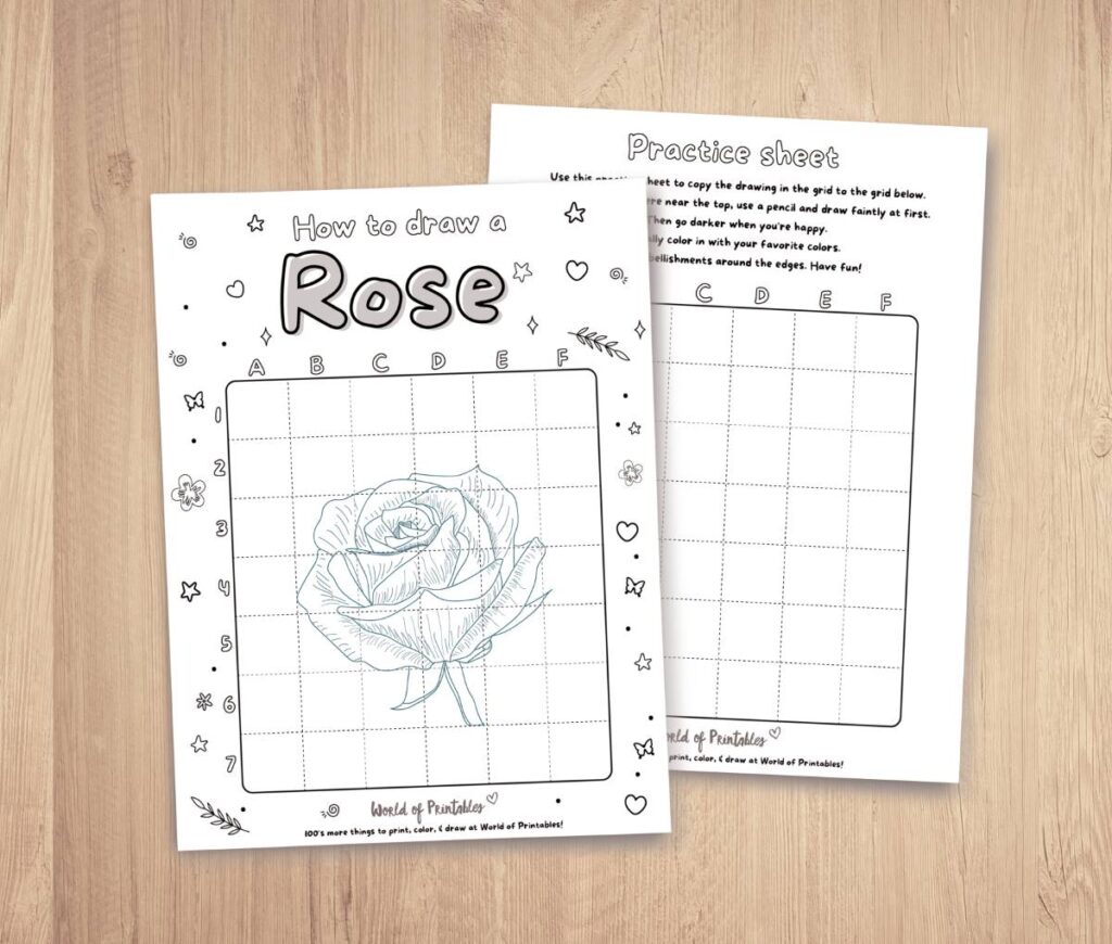 How To Draw a rose step by step