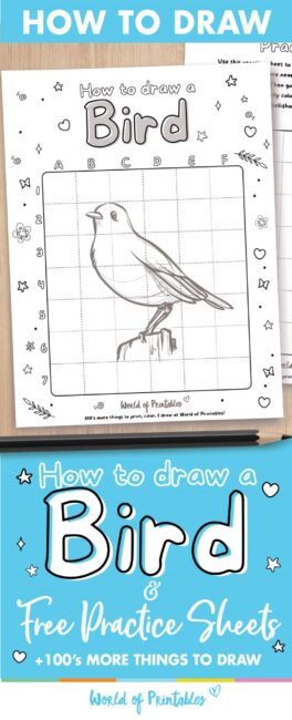 How to draw a bird easy
