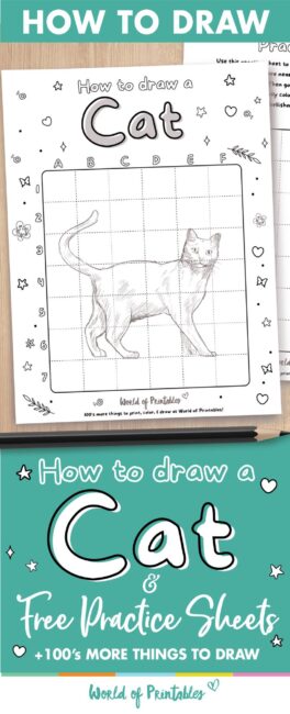 How to draw a cat easy