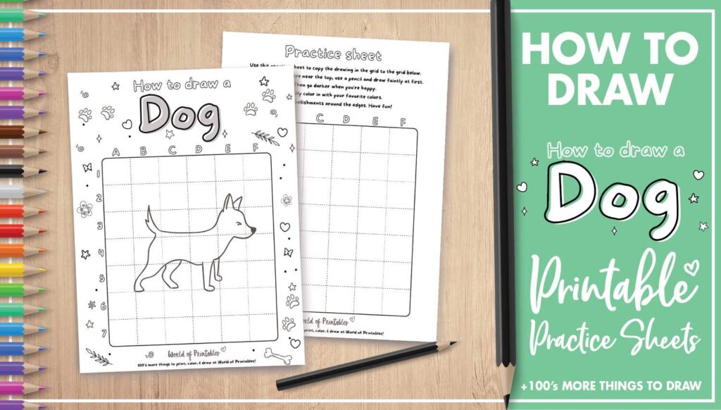 How to draw a dog