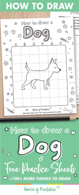 How to draw a dog easy