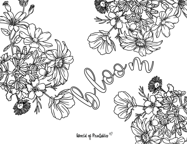flower bloom coloring page