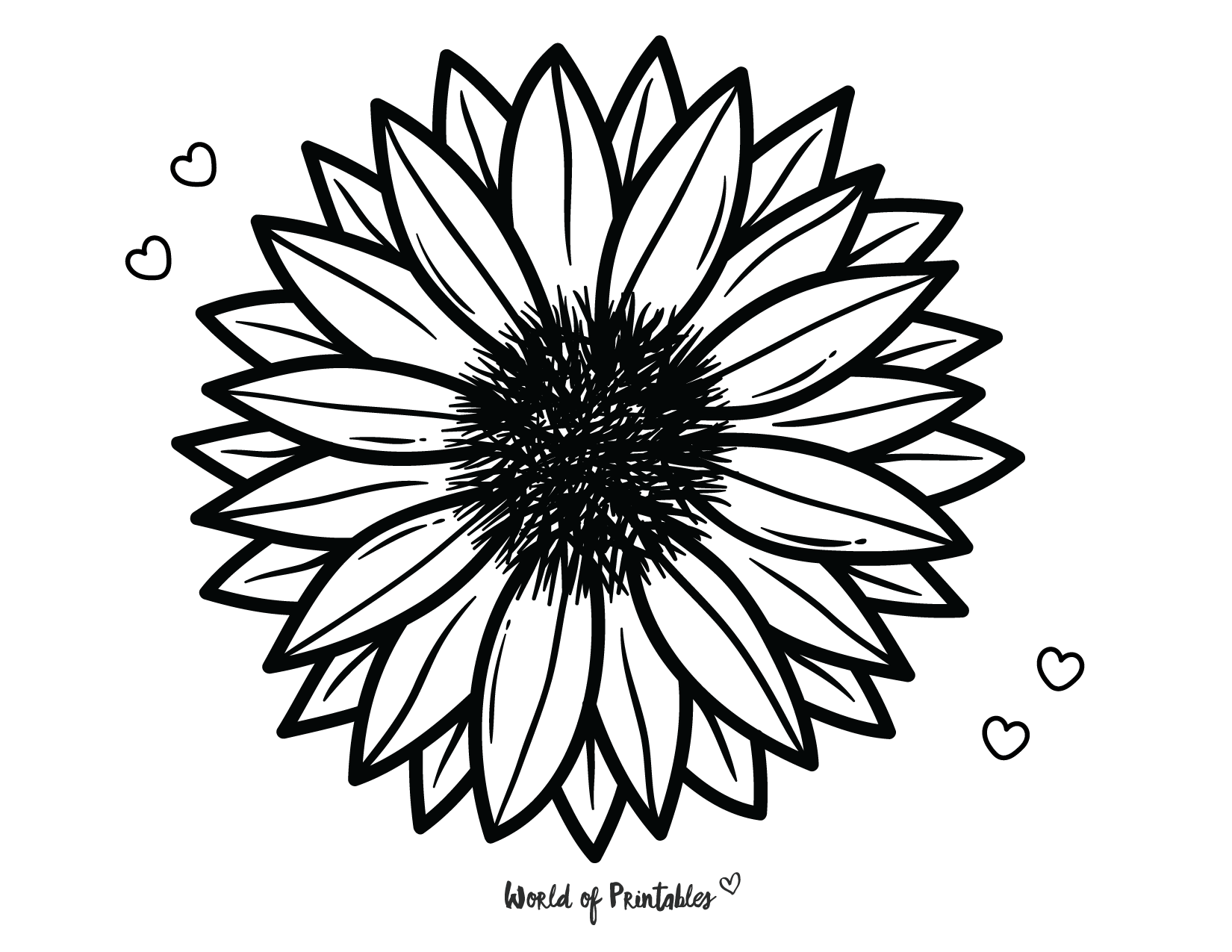 20 Best Flower Coloring Pages   Free Printables For Kids & Adults