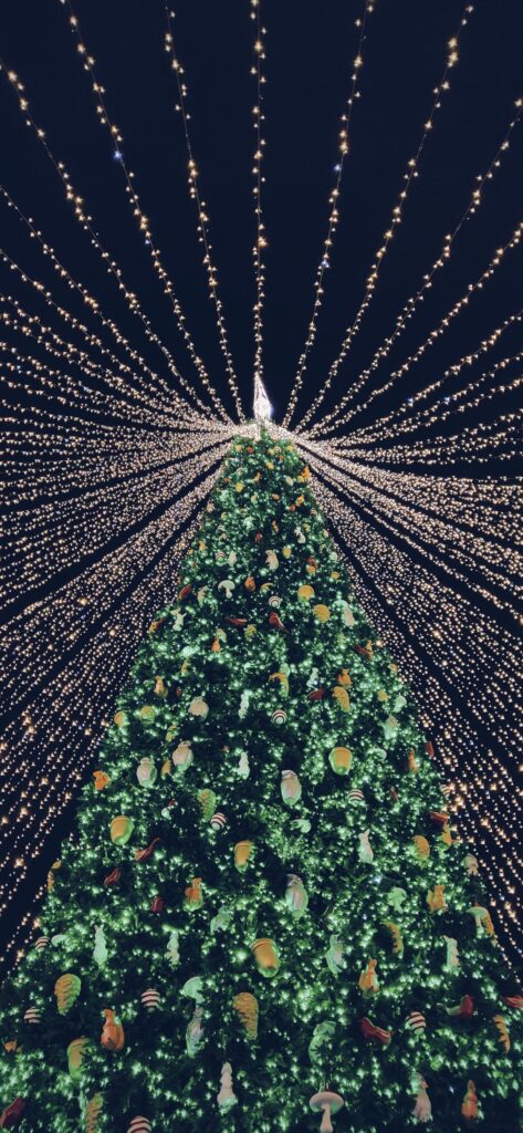 Christmas iPhone Aesthetic Wallpaper Christmas Tree and Lights