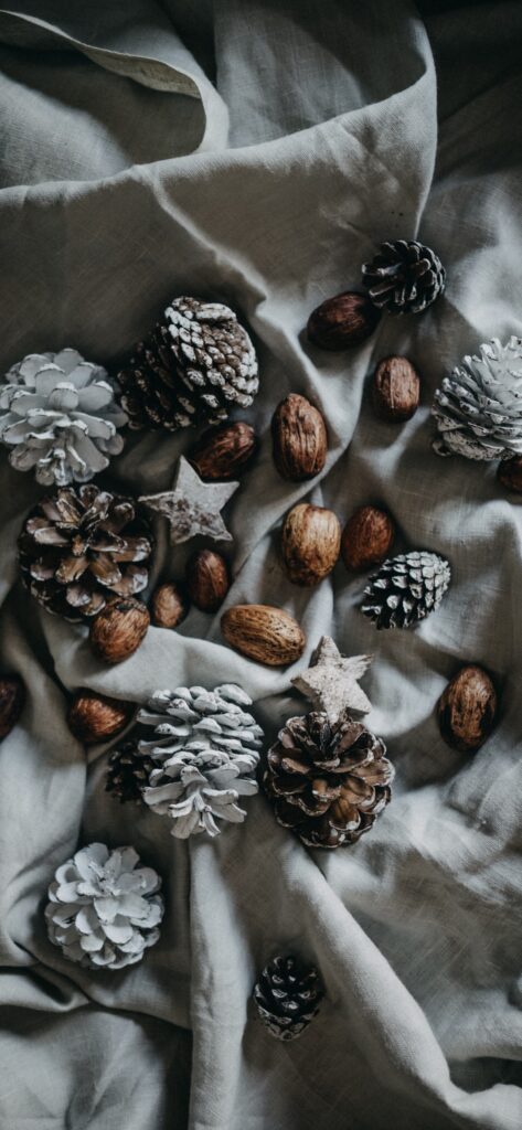 Christmas iPhone Aesthetic Wallpaper Pinecones