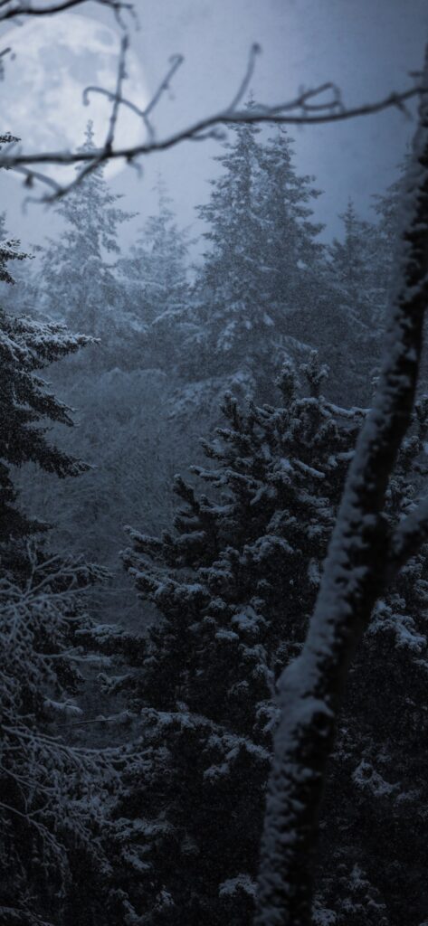 Christmas iPhone Aesthetic Wallpaper Wintery Woods and Moon