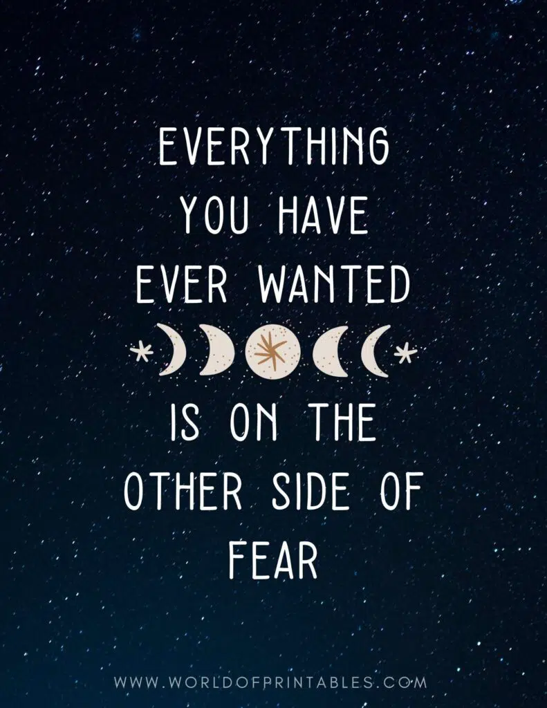 Everything You Have Ever Wanted Is On The Other Side Of Fear Inspirational Quote