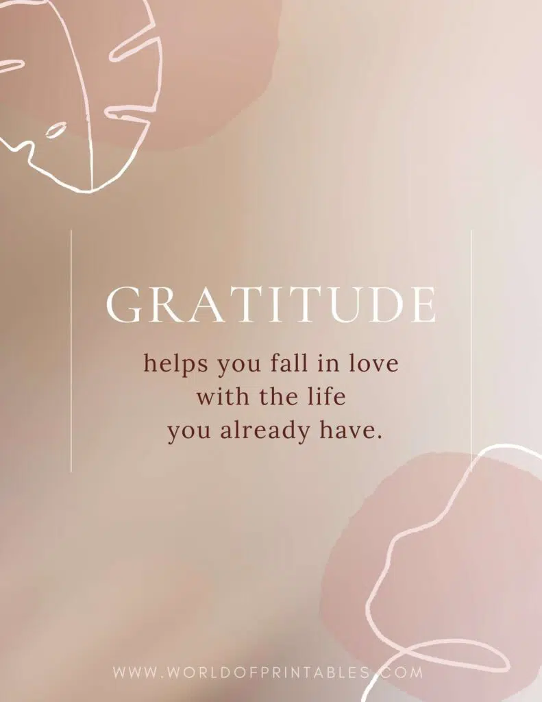 Gratitude Helps You Fall In Love With The Life You Already Have Quote