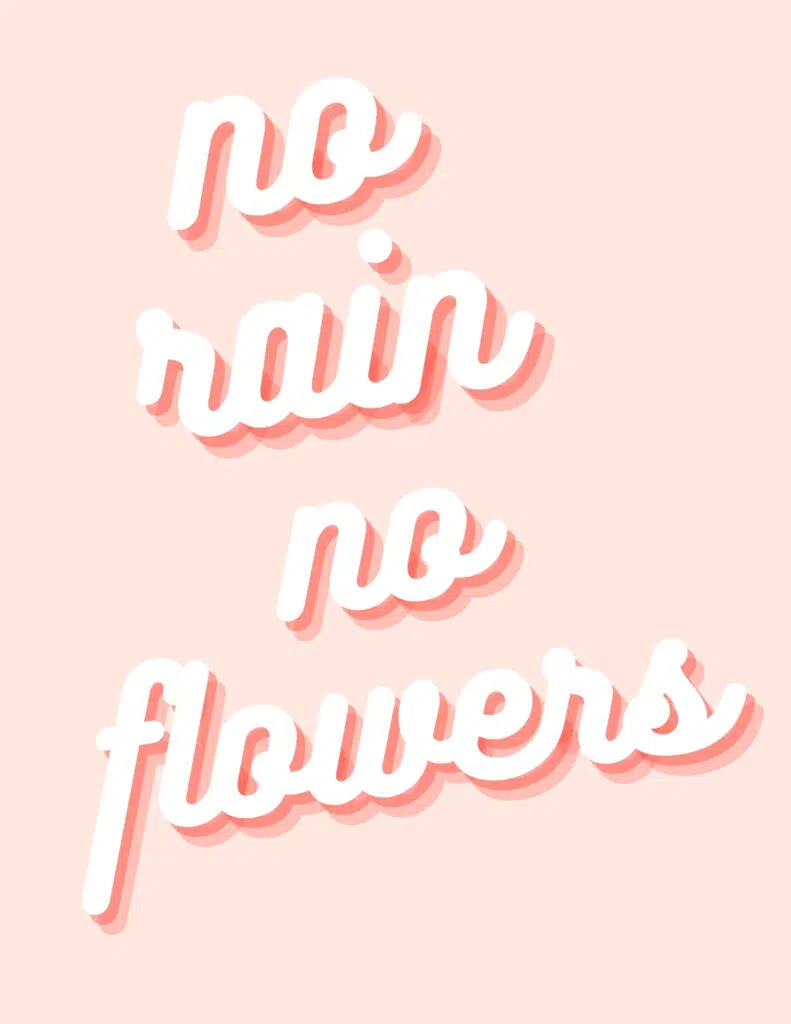 No Rain No Flowers Quote