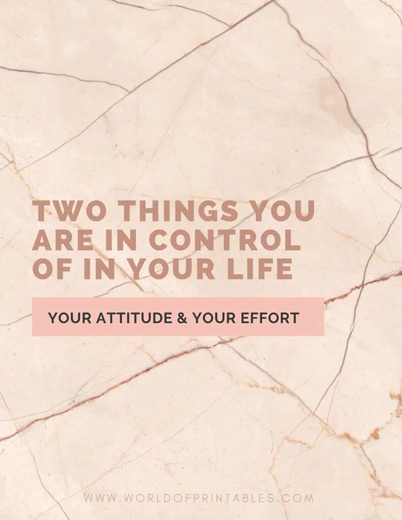 Two Things You Are In Control of In Your Life. Your Attitude And Your Effort Quote