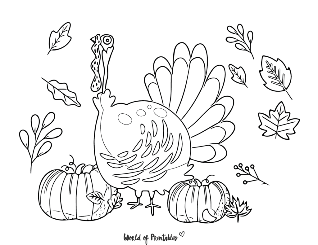 Turkey Pumpkin Thanksgiving Coloring page