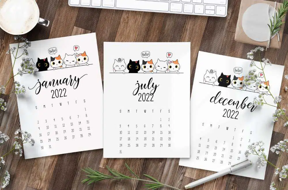 cute cat calendar for 2022