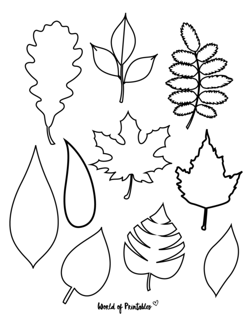 37 Printable Leaf Templates, Outlines & Shapes (Free) - World of Printables