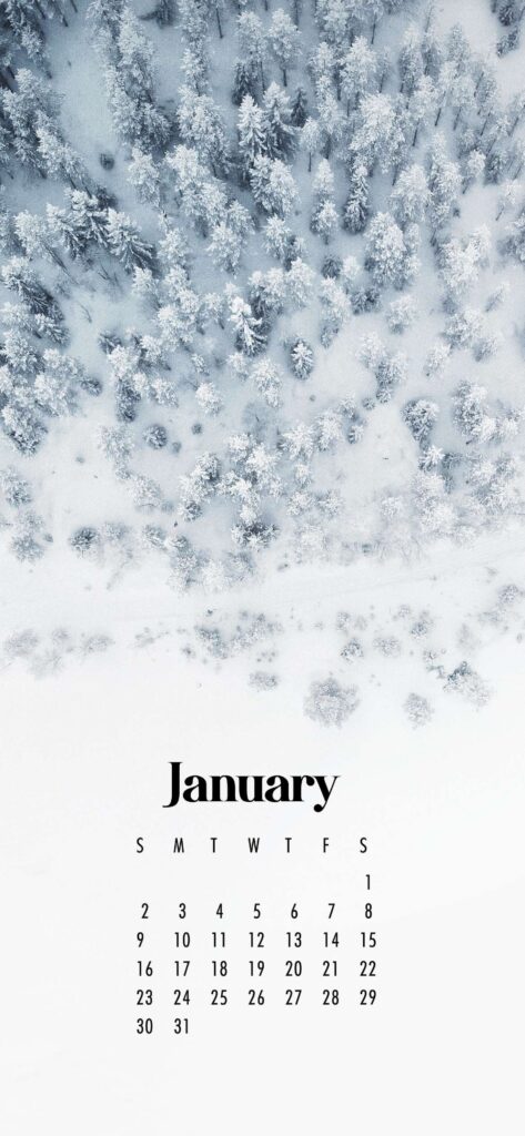 Snowy Scene January 2022 Calendar Phone Aesthetic Wallpaper