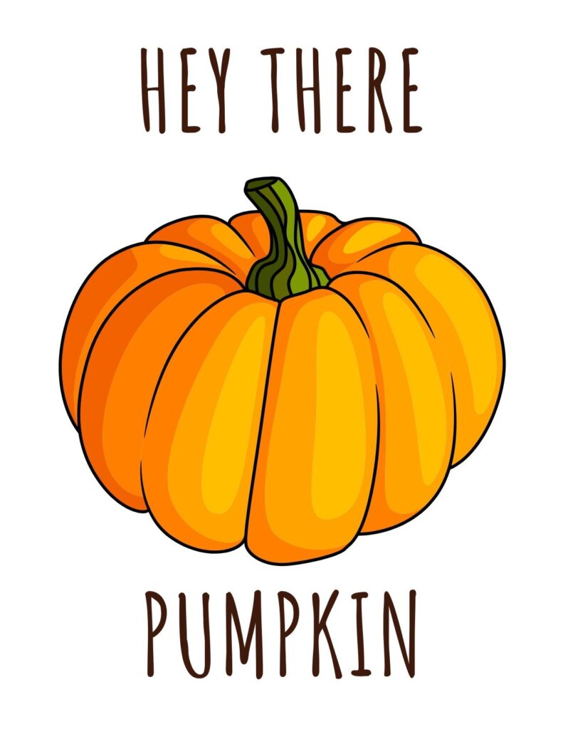 Thanksgiving Card - Hey There Pumpkin