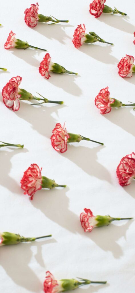 Flower Pattern Valentines Day Wallpaper