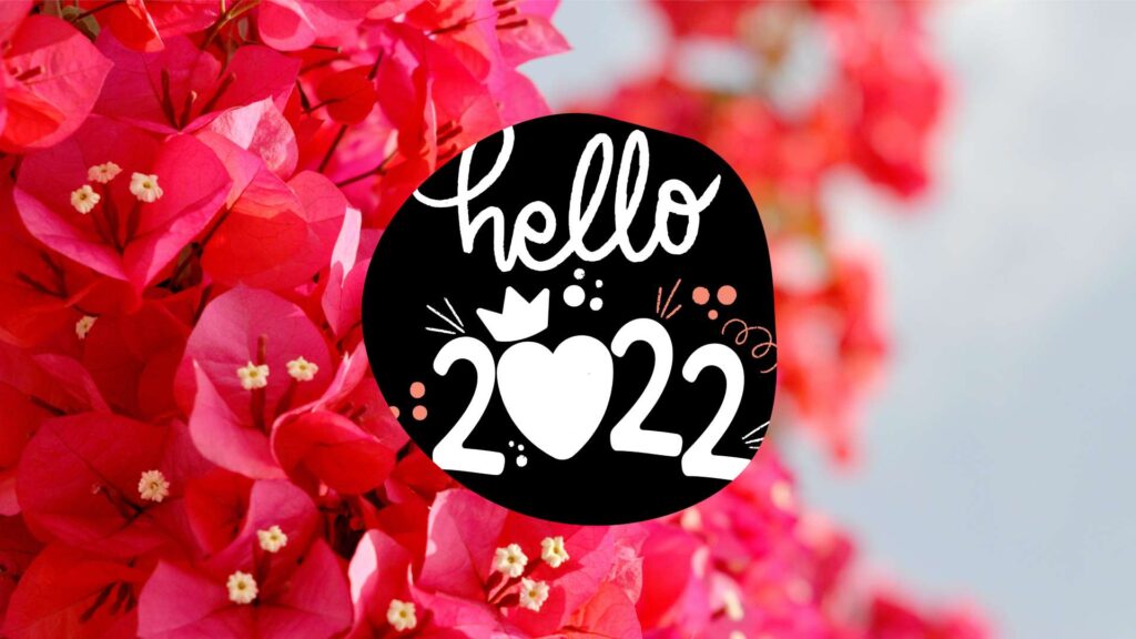 Hello 2022 Wallpaper - Flowers