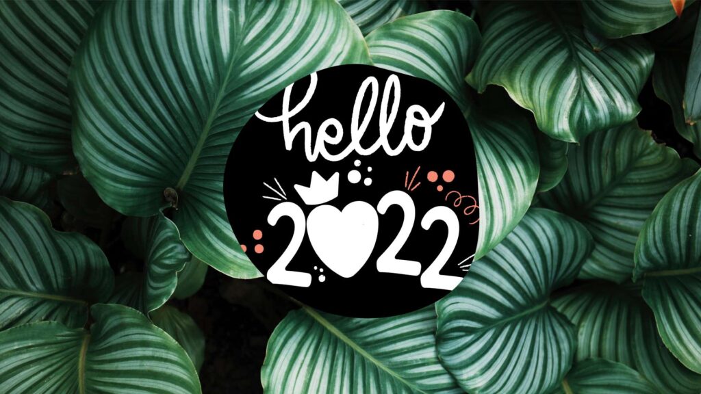 Hello 2022 Wallpaper - Monstera Leaves