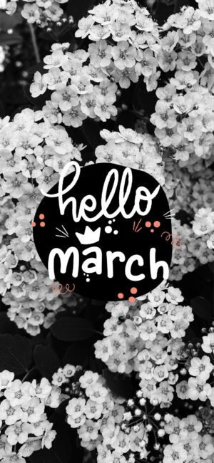 Hello March Black And White Wallpaper