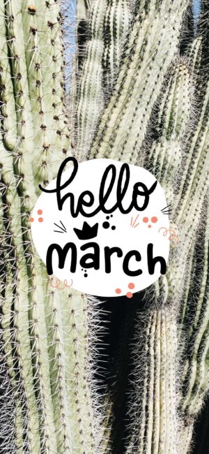 Hello March Cactus Wallpaper