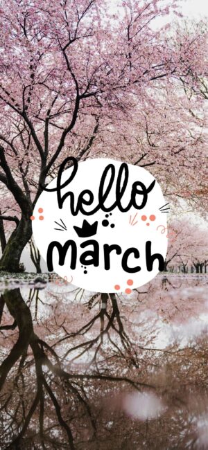 Hello March Cherry Blossom Wallpaper