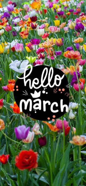 Hello March Colorful Flower Wallpaper