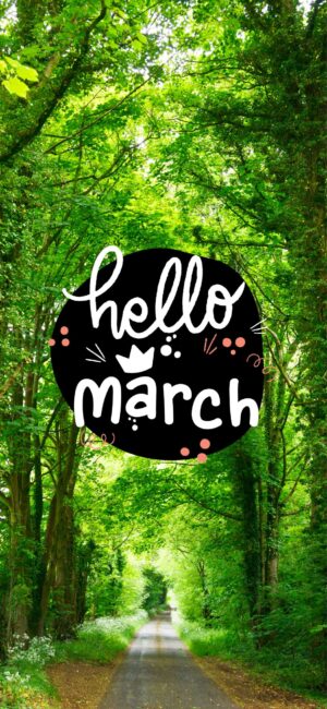 Hello March Forest Wallpaper