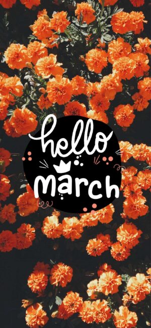 Hello March Orange Floral Wallpaper