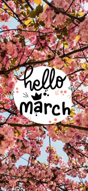Hello March Pink Floral Wallpaper