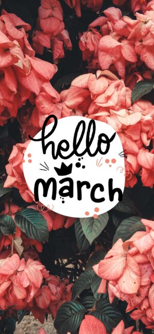 Hello March Pink Flower Wallpaper