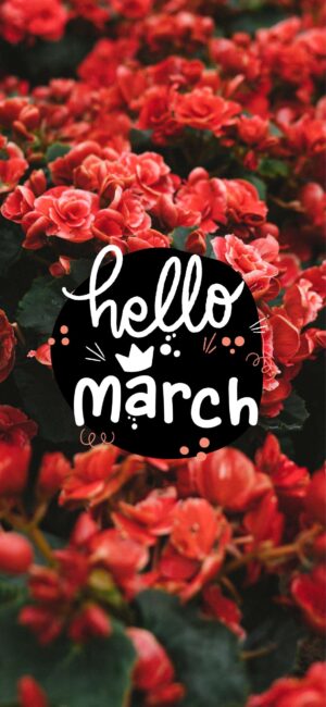Hello March Red Floral Wallpaper