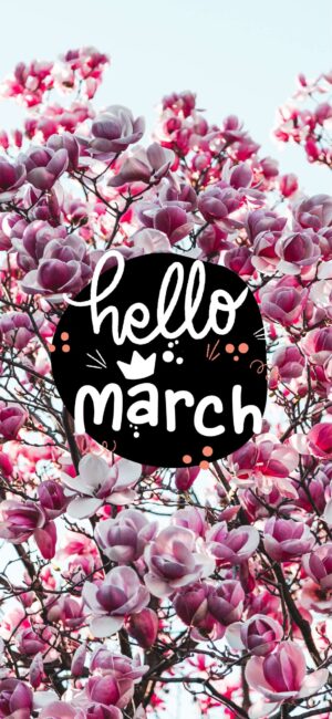 Hello March Spring Wallpaper