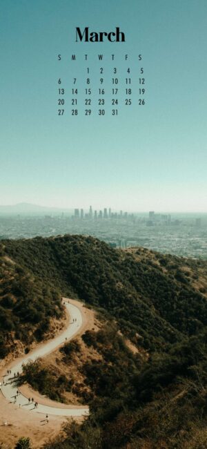 Hollywood Hills March Wallpaper