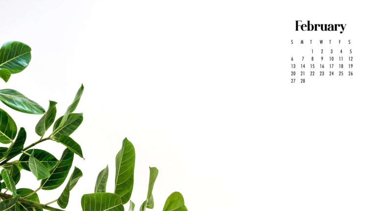February Calendar Wallpaper 60 Best Desktop Phone Backgrounds