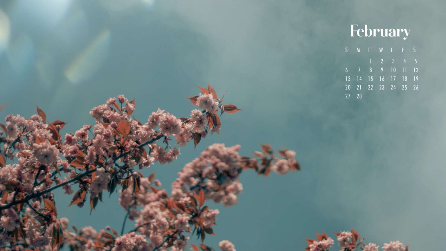February Calendar Wallpaper 60 Best Desktop Phone Backgrounds