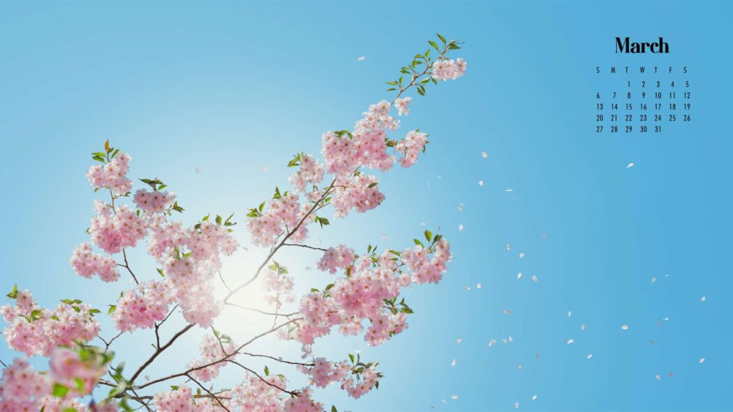 March Wallpaper | 85 Best Desktop & Phone March Backgrounds