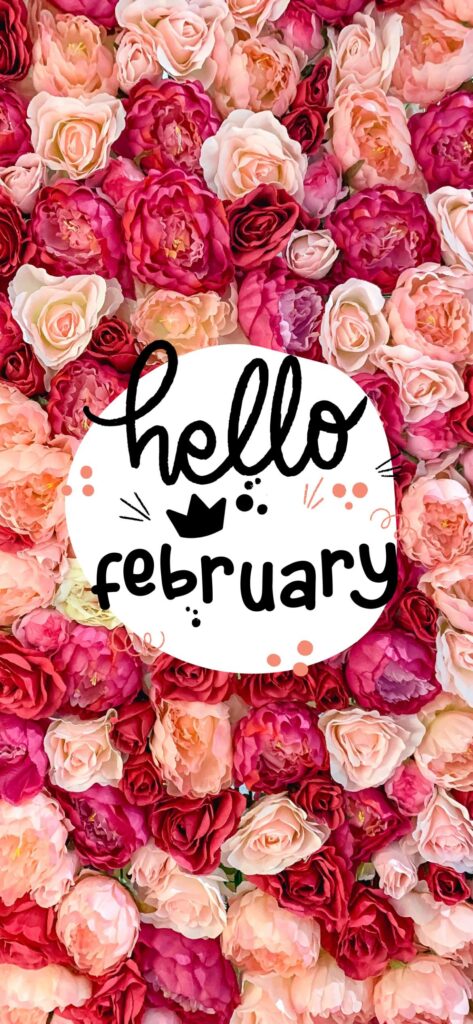 Pink Roses Wallpaper Hello February
