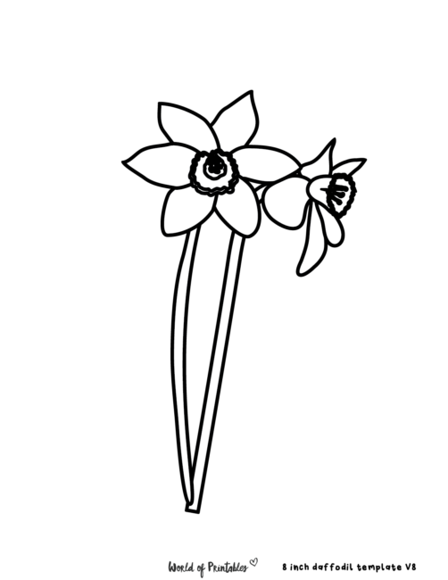 Daffodil Simple Flower Template