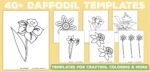 40 Daffodil Templates + Tips For Fun Activities - World of Printables