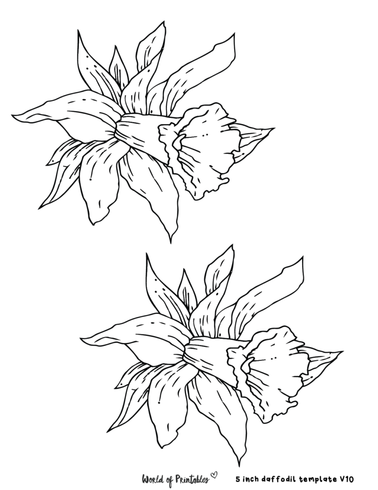 40 Daffodil Templates + Tips For Fun Activities - World of Printables