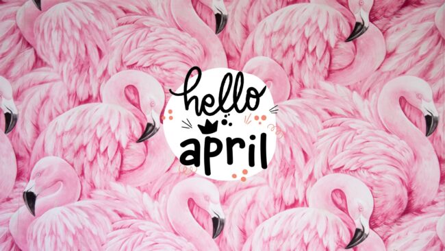 Flamingo April Desktop Wallpaper